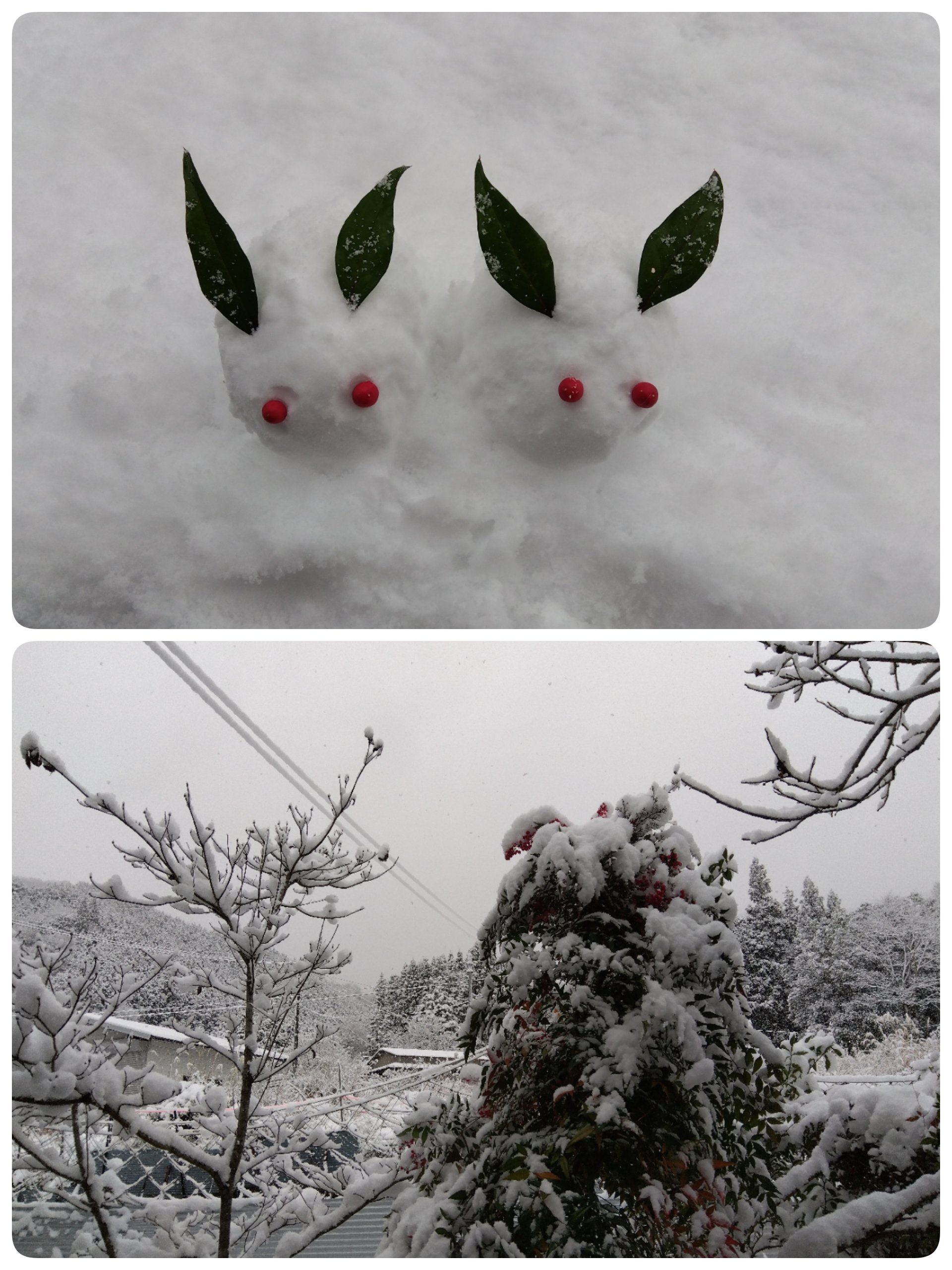 雪うさぎ♡冬うさぎちゃん 雪うさぎ♡冬うさぎちゃん
