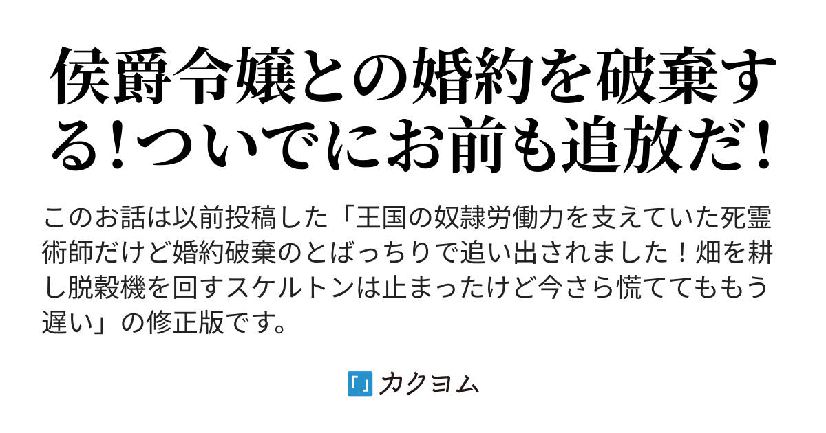 短編 完結 修正版 婚約破棄を目撃したら国が滅びました ダイスケ カクヨム